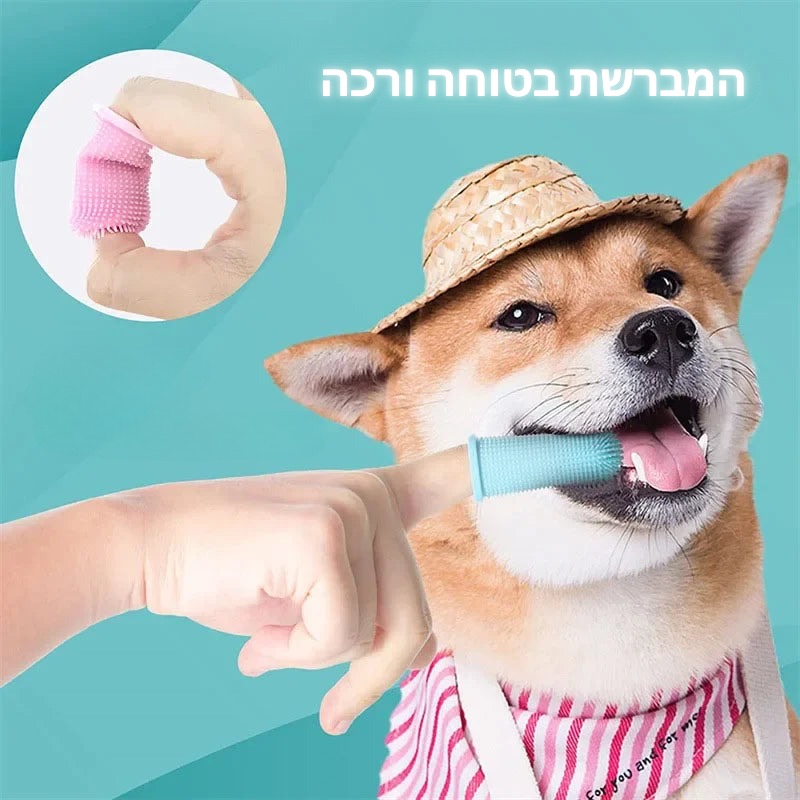 מברשת שיניים אצבע לחיות מחמד