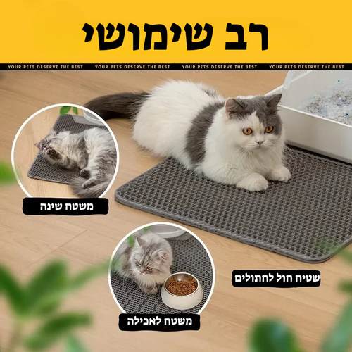 קיטי קלין