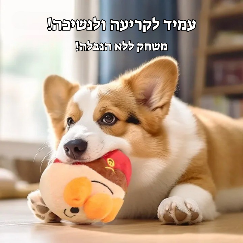 כדור הפלא – ישנה לכם ולכלבכם את החיים!