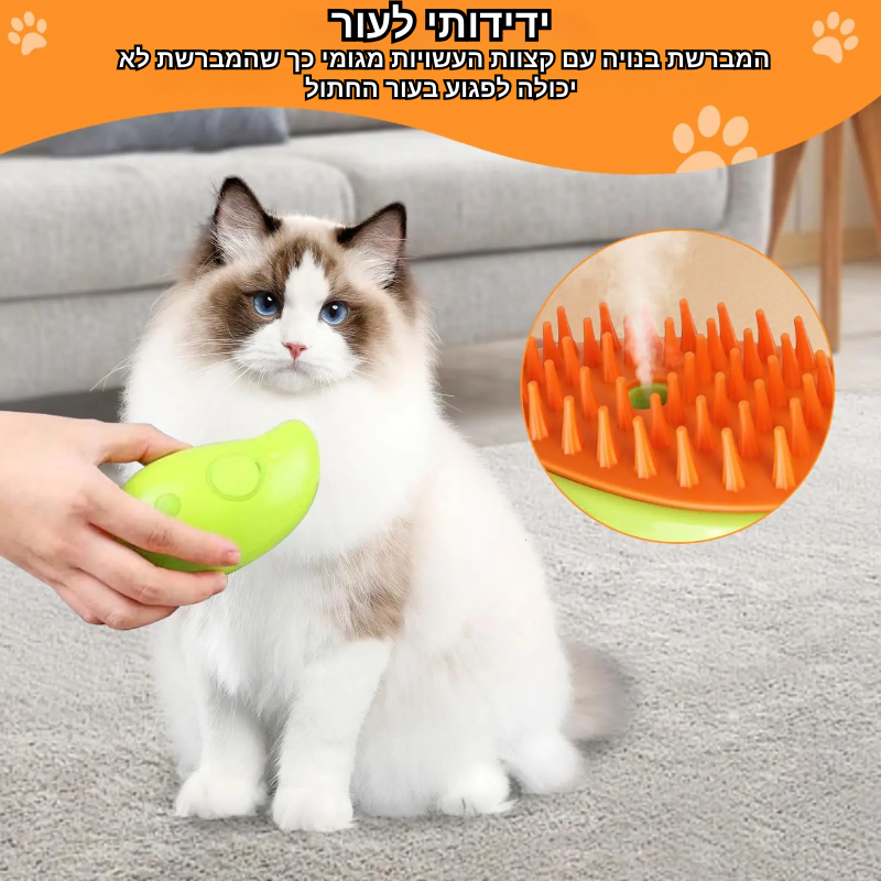 מברשת - קיטי פרש