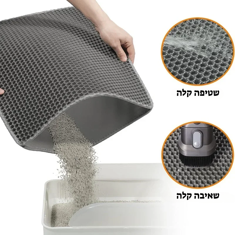קיטי קלין