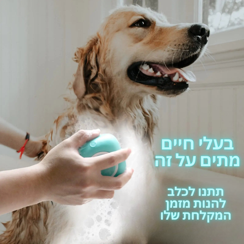 מברשת הפלופי