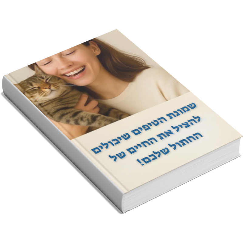 ספר דיגיטלי שיכול להציל את החיים של החתול שלכם