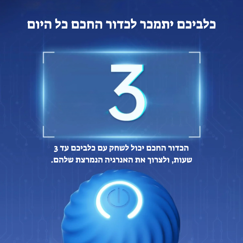 הכדור החכם: כיף מובטח לחבר הכי טוב שלך!
