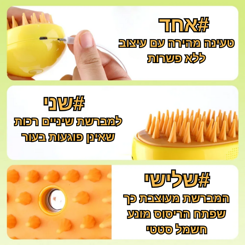 מברשת - קיטי פרש