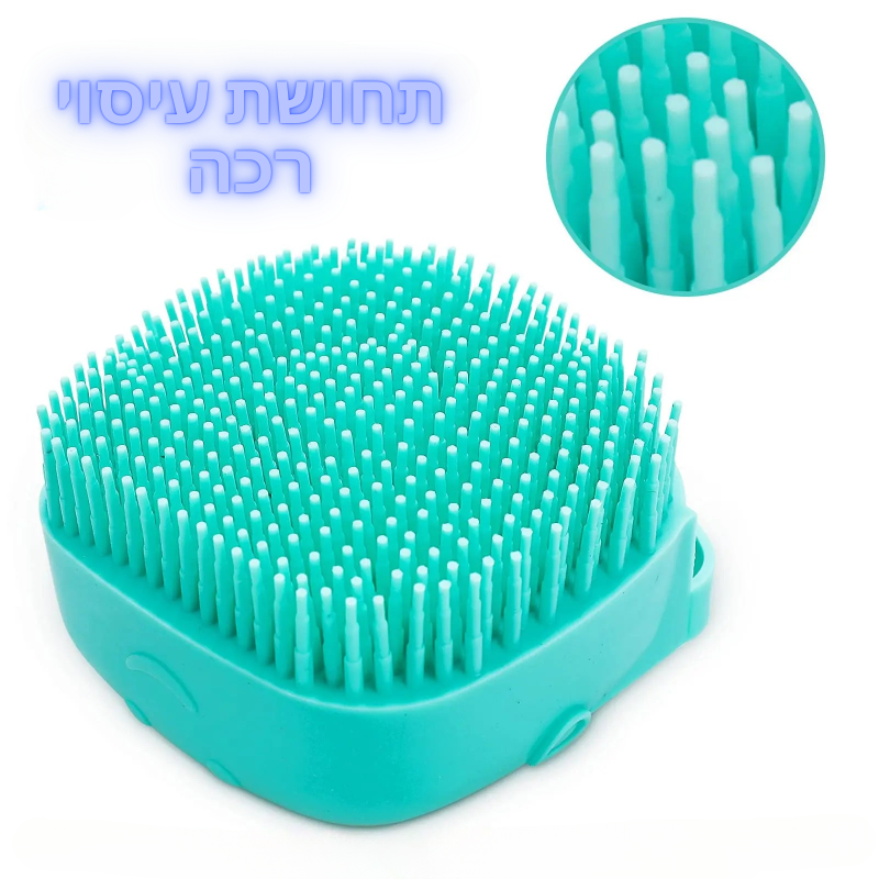 מברשת הפלופי