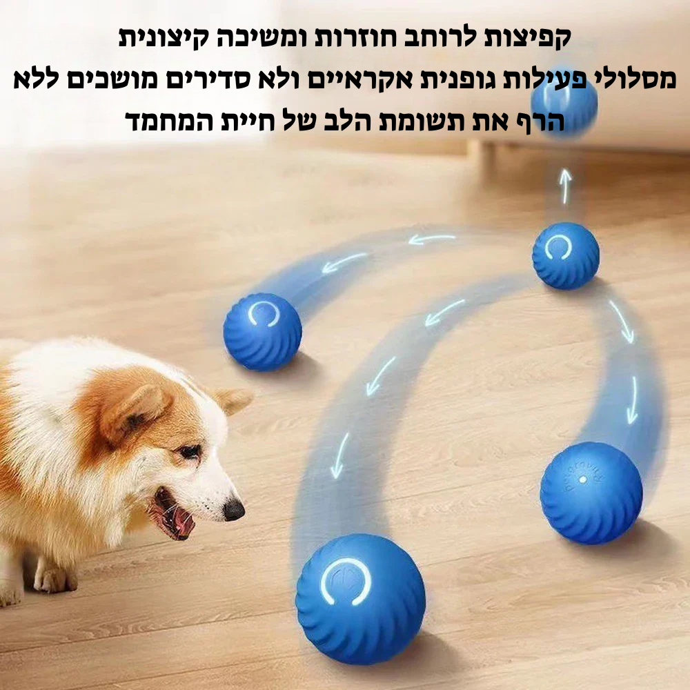 הכדור החכם: כיף מובטח לחבר הכי טוב שלך!