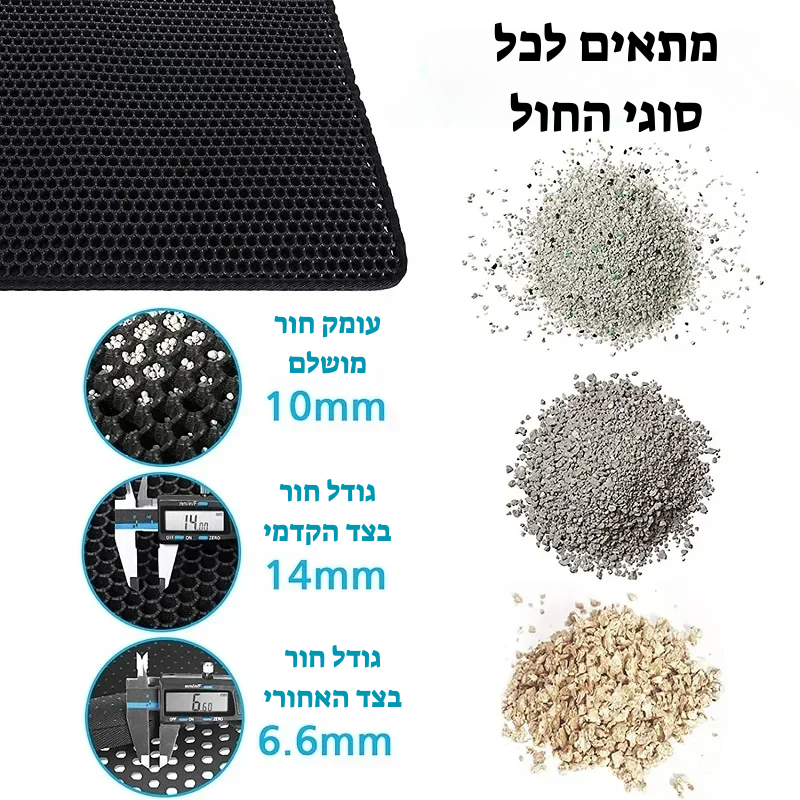 קיטי קלין