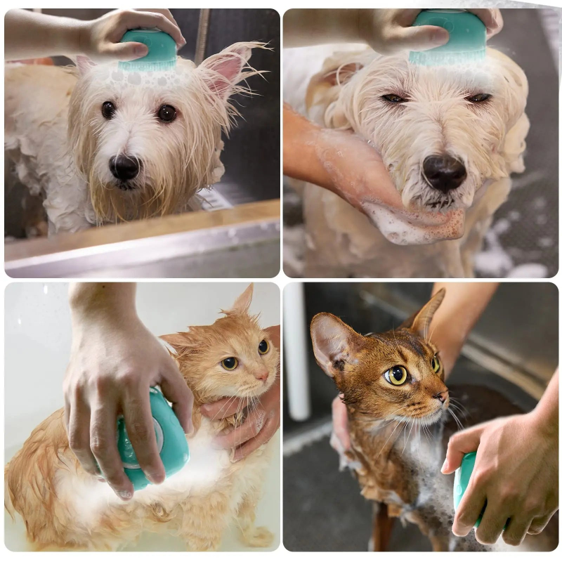 מברשת הפלופי