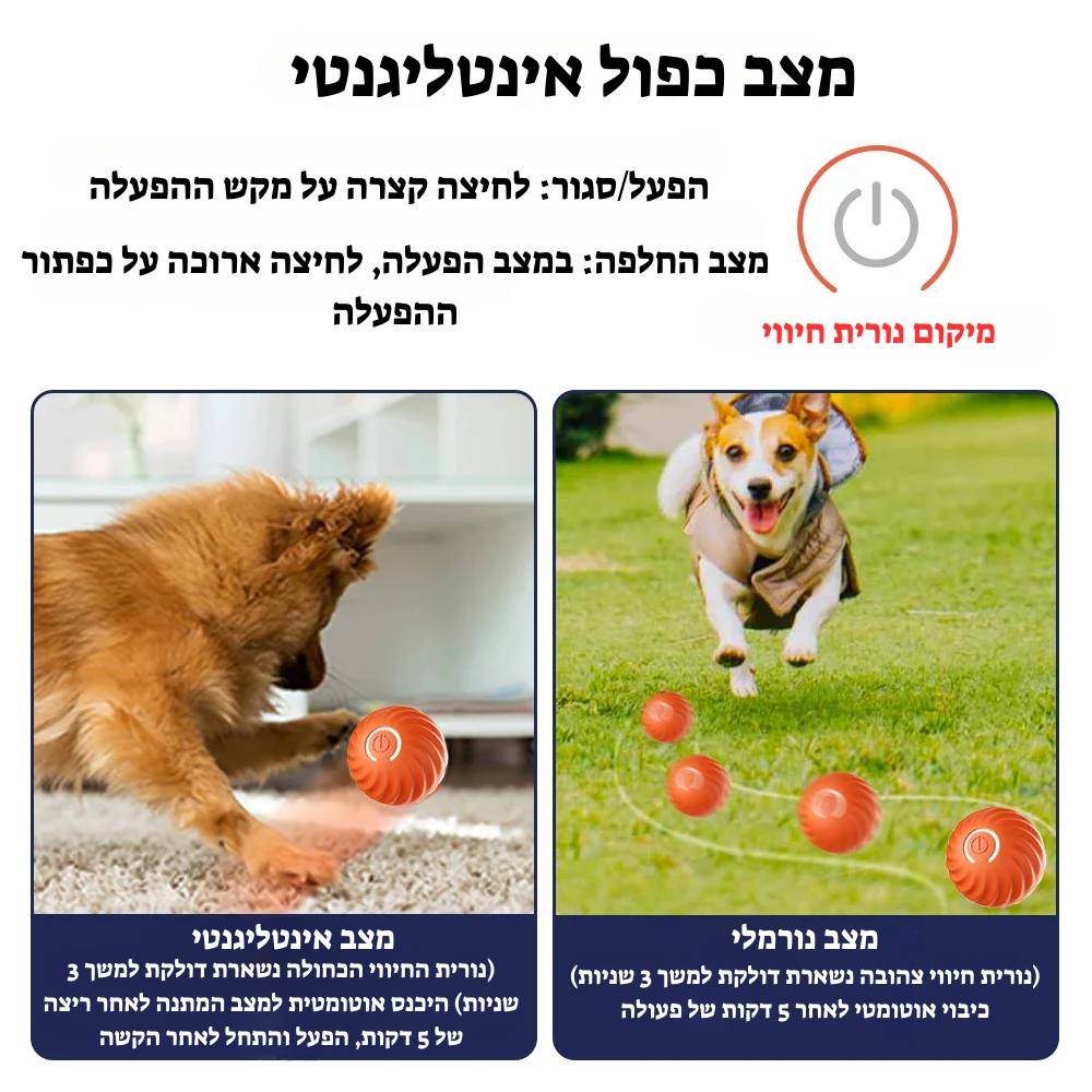 הכדור החכם: כיף מובטח לחבר הכי טוב שלך!