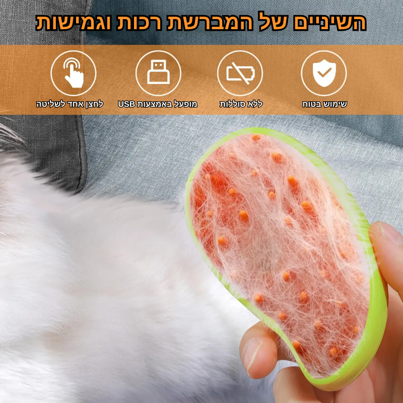 מברשת - קיטי פרש