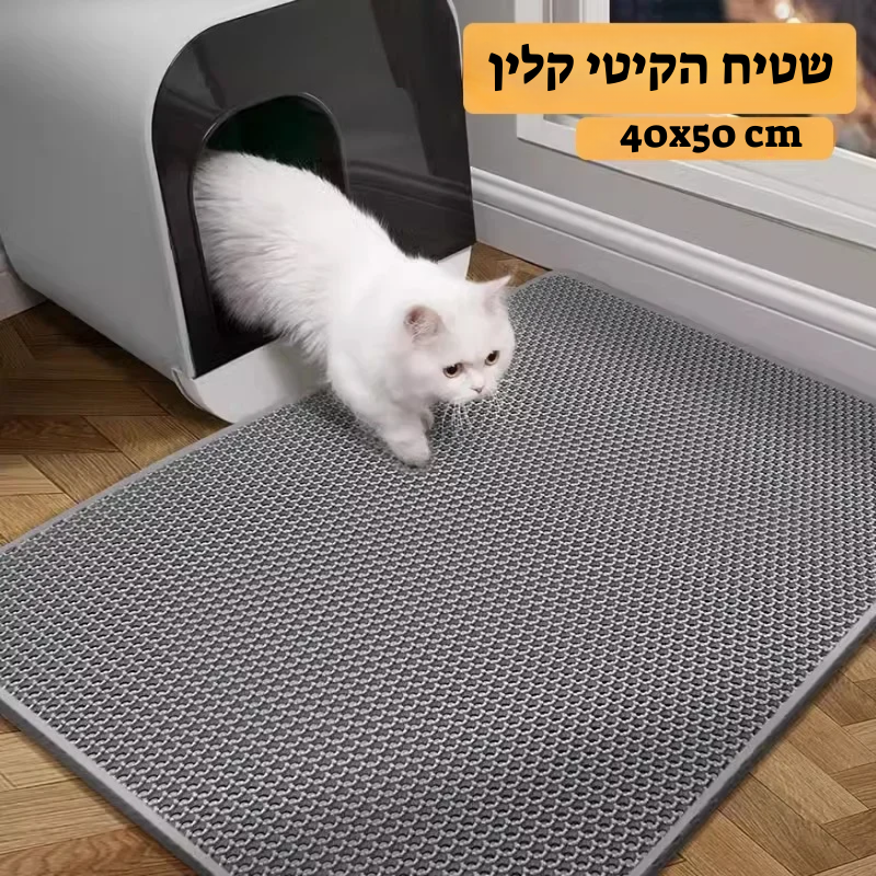 קיטי קלין