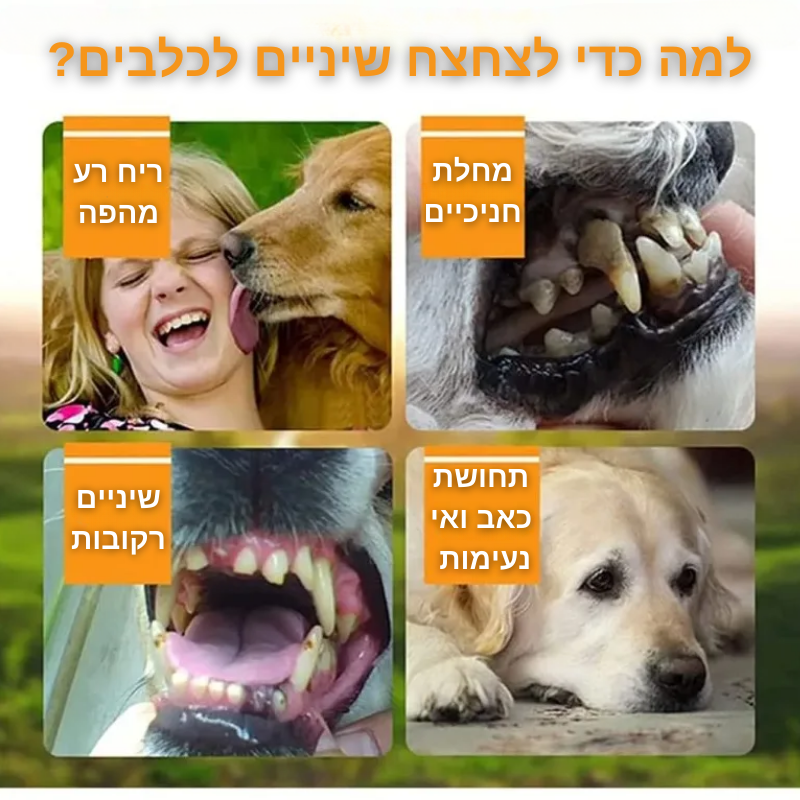 מברשת שיניים אצבע לחיות מחמד