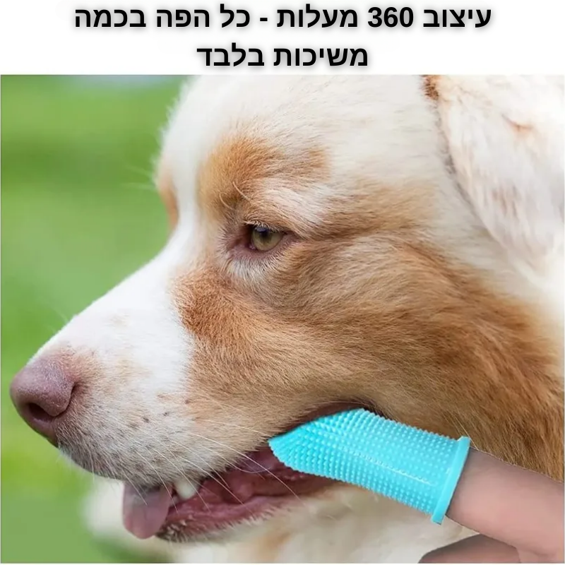 מברשת שיניים אצבע לחיות מחמד