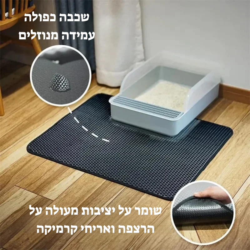 קיטי קלין