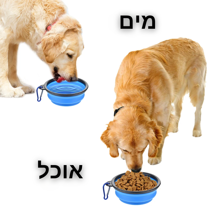 קערת אוכל ומים ניידת