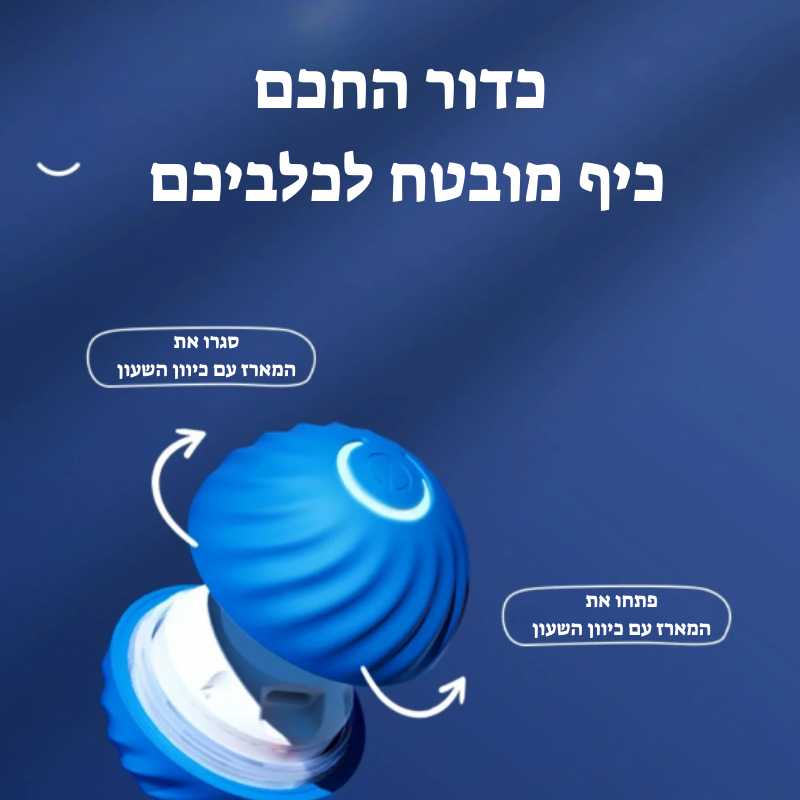 הכדור החכם: כיף מובטח לחבר הכי טוב שלך!