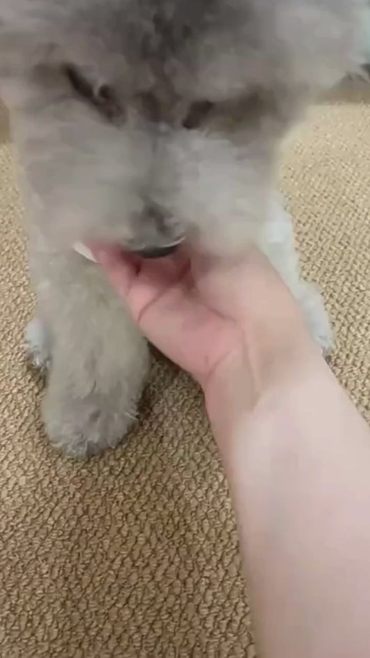 הכדור החכם: כיף מובטח לחבר הכי טוב שלך!