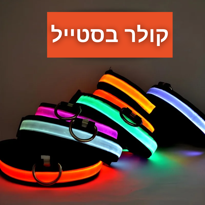 קולר בסטייל