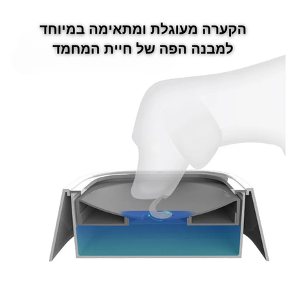 קערת מים חכמה - טפטוף בשליטה