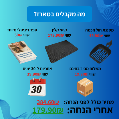 קיטי קלין