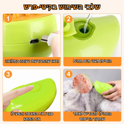 מברשת - קיטי פרש