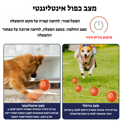 הכדור החכם: כיף מובטח לחבר הכי טוב שלך!