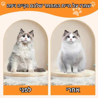 מברשת - קיטי פרש