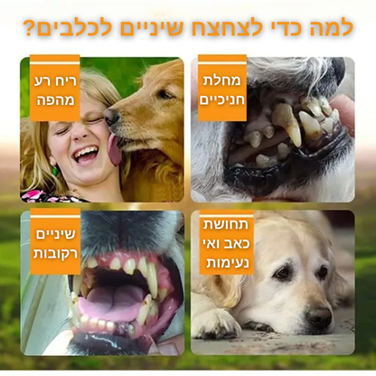 מברשת שיניים אצבע לחיות מחמד